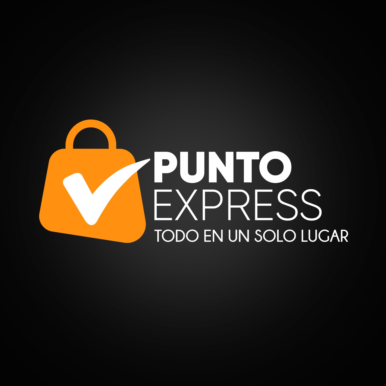 Punto Express — Todo en un solo lugar